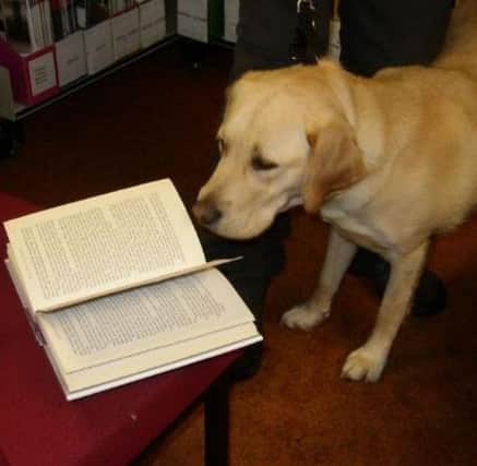 Aberdeenshire Libraries’ successful Dog-friendly Saturday scheme has been extended to include four more libraries!