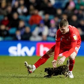 Wigan Athletic's Jason Kerr attempts to remove a cat from the pitch during the Sky Bet League One match at Hillsborough, Sheffield. Pic: Zac Goodwin/PA Wire.
