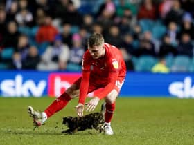 Wigan Athletic's Jason Kerr attempts to remove a cat from the pitch during the Sky Bet League One match at Hillsborough, Sheffield. Pic: Zac Goodwin/PA Wire.
