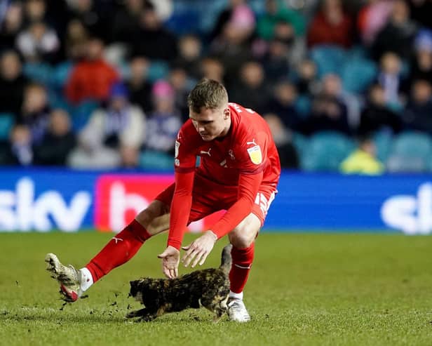 Wigan Athletic's Jason Kerr attempts to remove a cat from the pitch during the Sky Bet League One match at Hillsborough, Sheffield. Pic: Zac Goodwin/PA Wire.