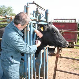 New TB trials are in progress