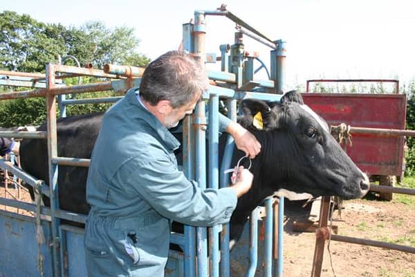 New TB trials are in progress