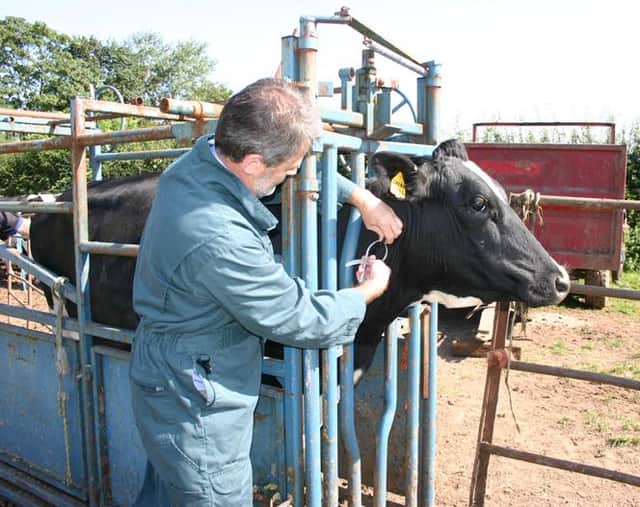 New TB trials are in progress