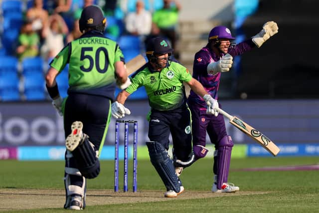 Ireland's Curtis Campher and George Dockrell run between the wickets as Scotland's wicketkeeper Matthew Cross shouts for fielding during the T20 World Cup match in Hobart.  (Photo by DAVID GRAY/AFP via Getty Images)