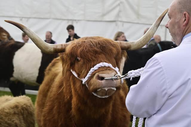 Royal Highland Show 2024