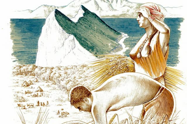 Neolithic societies of Europe some 5,000 years ago appear to have divided labour on the basis of gender (Picture: LP Repiso/SWNS)
