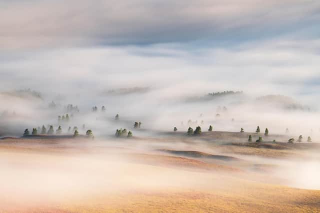 The edge of a cloud inversion on the fringes of Abernethy Forest (pic: Ed Smith)