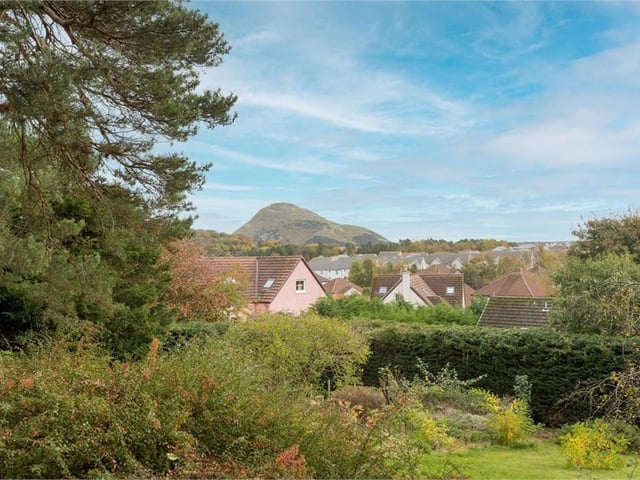 View from garden.