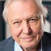 Back on our small screens: Sir David Attenborough
