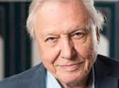 Back on our small screens: Sir David Attenborough