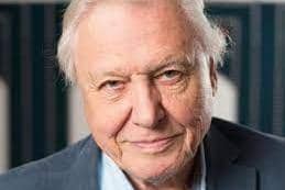 Back on our small screens: Sir David Attenborough