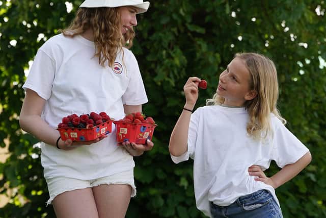 Alexa King, age 10 and Erica King age 8