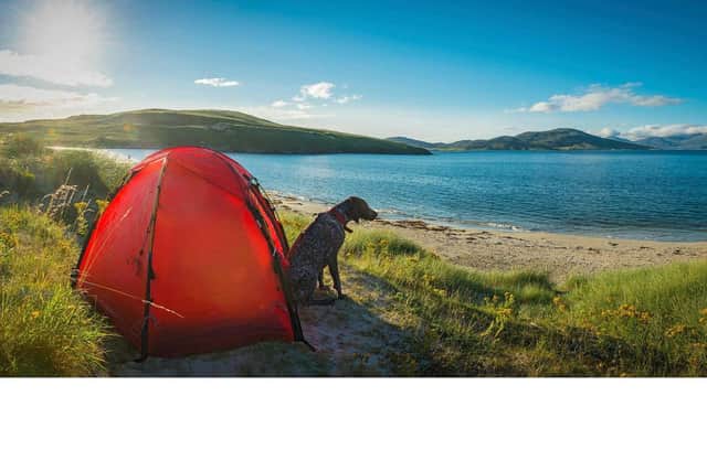 Increasing numbers of holiday-makers have a hound to take with them after lockdown.