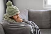 According to Citizens Advice, 800,000 people went without gas or electricity for longer than 24 hours last year (Picture: stock.adobe.com)