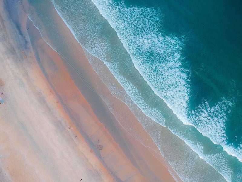 "I think, because the oceans are so vast and because they are so mysterious, there is a sense that somehow they are untouchable, and that what we do on land cannot really alter them in any meaningful way. Not true, sadly."