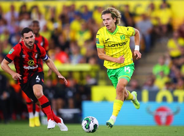 Norwich midfielder Todd Cantwell is expected to complete a move to Rangers within the next 48 hours. (Photo by Marc Atkins/Getty Images)
