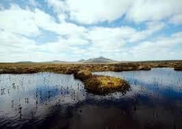 Ancient peatlands have a key role to play in climate change