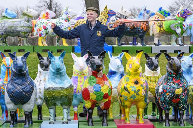 Flock the Sheep, Royal Highland Show
