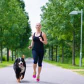 Your dog can help you train to conquer the challenges of running a marathon.