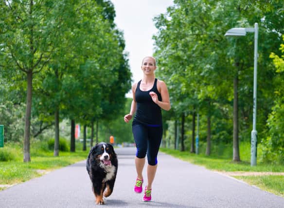 Your dog can help you train to conquer the challenges of running a marathon.