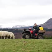 In the future, at least half of all funding for farms and crofts will be linked to improving biodiversity and reducing carbon emissions (Picture: Mark Runnacles/PA Wire)