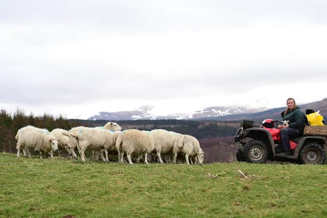 In the future, at least half of all funding for farms and crofts will be linked to improving biodiversity and reducing carbon emissions (Picture: Mark Runnacles/PA Wire)