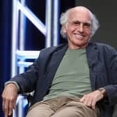 Larry David's semi-autobiographical sitcom Curb Your Enthusiasm can help us laugh at ourselves (Picture: Frederick M Brown/Getty Images)