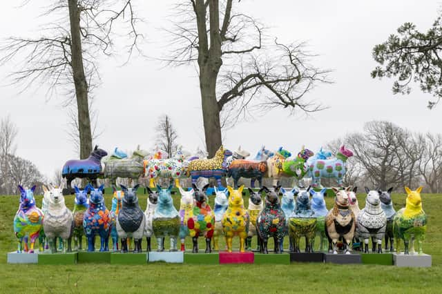 Flock to the bleat at the Royal Highland Show