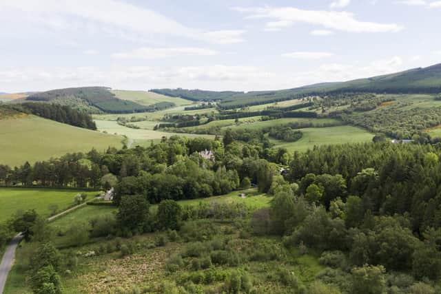 The mass-ownership company currently manages two rewilding projects in the Highlands of Scotland at the Bunloit Estate and here on the Beldorney Estate.