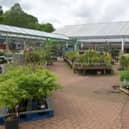 Garden centres have become somewhere to buy more than plants - although there are always plenty of offer. Pic: Michael Gillen