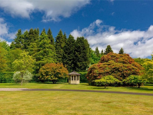 Front garden.