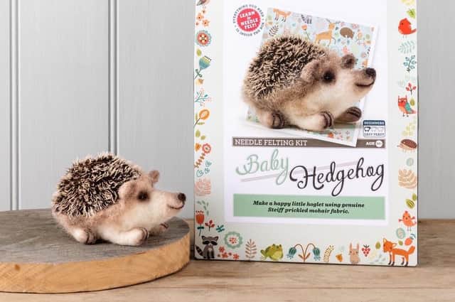 The firm's products include hedgehog and bee hive craft kits.