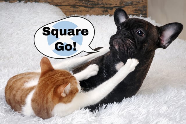 Officially a 'square go' refers to an unarmed brawl, and it is something you exclaim when you're challenging someone to fight you.