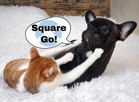 Officially a 'square go' refers to an unarmed brawl, and it is something you exclaim when you're challenging someone to fight you.