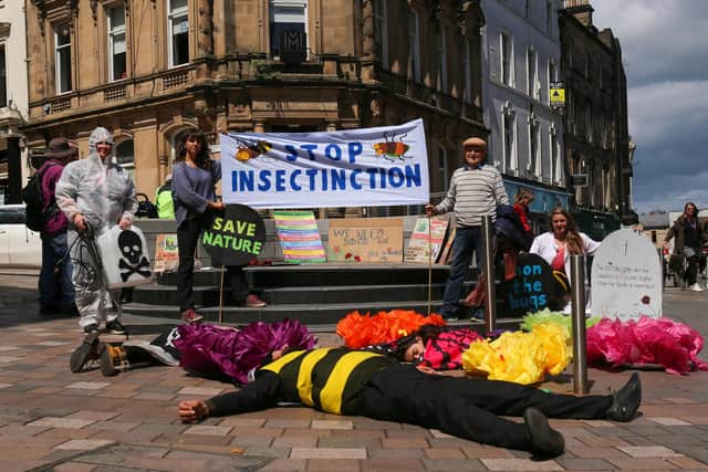 Scottish environmental campaigners have staged a ‘die-in’ demonstration in Stirling to highlight the plight of pollinators, which are dying out in large numbers, and call for action to stave off an “insect apocalypse”. Picture: XR Stirling