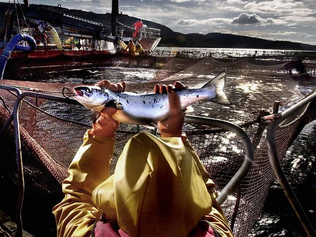 Salmon farmers must go out to work in all weathers (Picture: David Cheskin/PA)