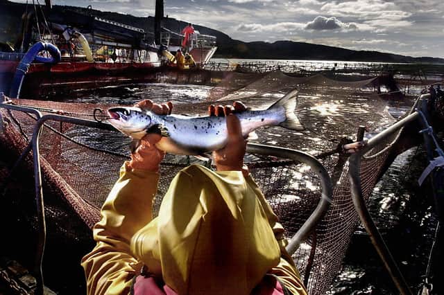Salmon farmers must go out to work in all weathers (Picture: David Cheskin/PA)