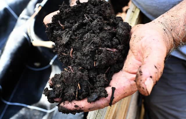 Healthy soil is full of life like earthworms (Picture: Anne-Christine Poujoulat/AFP via Getty Images)