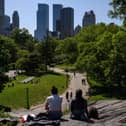 People sit in Central Park in New York City. Picture: Ed Jones/AFP via Getty Images