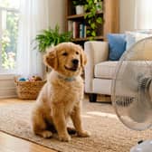 Don't get overheated over energy bills, help is out there (Picture: Adobe)