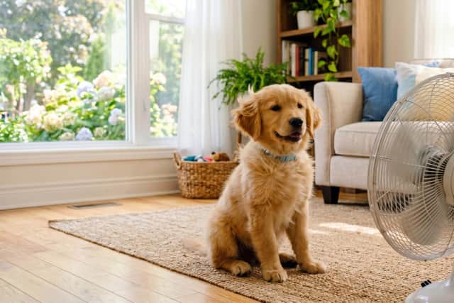 Don't get overheated over energy bills, help is out there (Picture: Adobe)