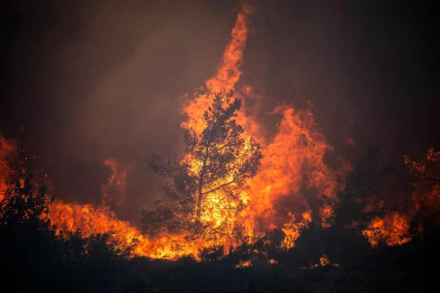 Wildfires burn in the forests near the village of Vati, just north of the coastal town of Gennadi, in the southern part of the Greek island of Rhodes.