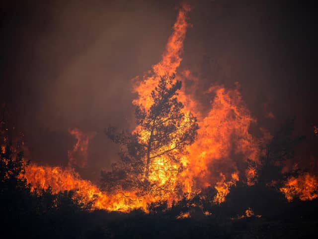 Wildfires burn in the forests near the village of Vati, just north of the coastal town of Gennadi, in the southern part of the Greek island of Rhodes.