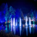 The Enchanted Forest is one of Scotland's most popular light shows. Picture: VisitScotland/Kenny Lam