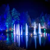 The Enchanted Forest is one of Scotland's most popular light shows. Picture: VisitScotland/Kenny Lam
