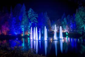 The Enchanted Forest is one of Scotland's most popular light shows. Picture: VisitScotland/Kenny Lam