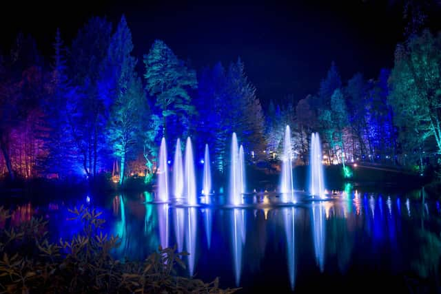 The Enchanted Forest is one of Scotland's most popular light shows. Picture: VisitScotland/Kenny Lam