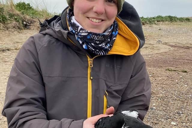 PhD student Steph Trapp retrieves an oystercatcher from traps before attaching the tracker in Dublin Bay
Pic: Steph Trapp