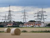 National Grid has decided not to run its first-ever real-life initiative to pay households to reduce their electricity use on Tuesday evening.
