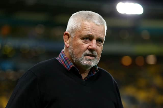 British & Irish Lions head coach Warren Gatland. Picture: Hagen Hopkins/Getty Images